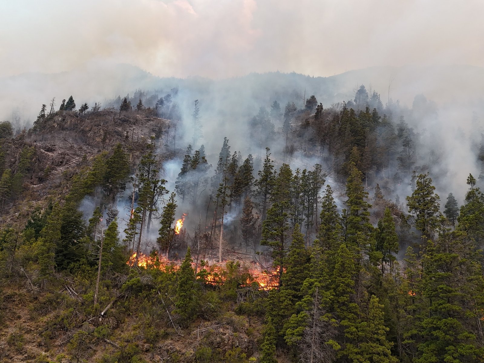 el dolor de los evacuados, brigadistas que lo arriesgan todo y empresarios turísticos que pierden otra temporada