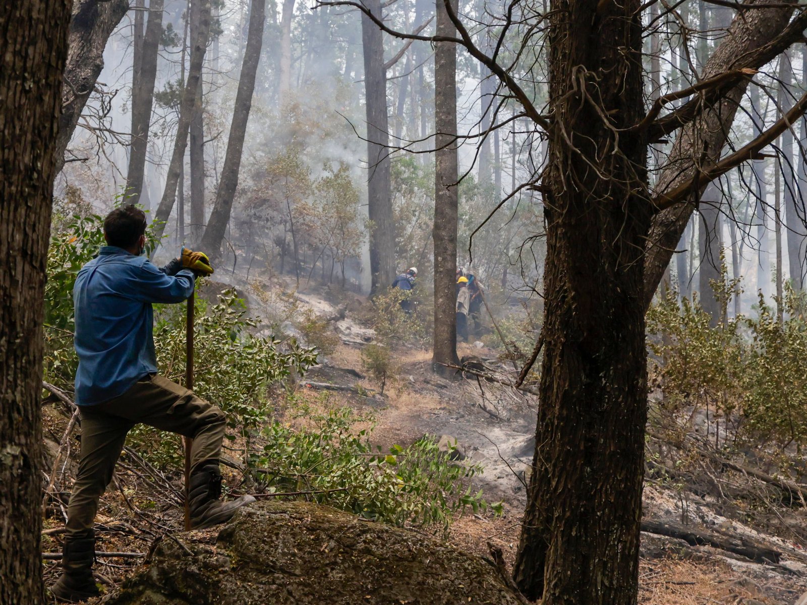 el fiscal desmiente al Gobierno y dice que "está totalmente descartado" que hayan sido provocados por grupos mapuches