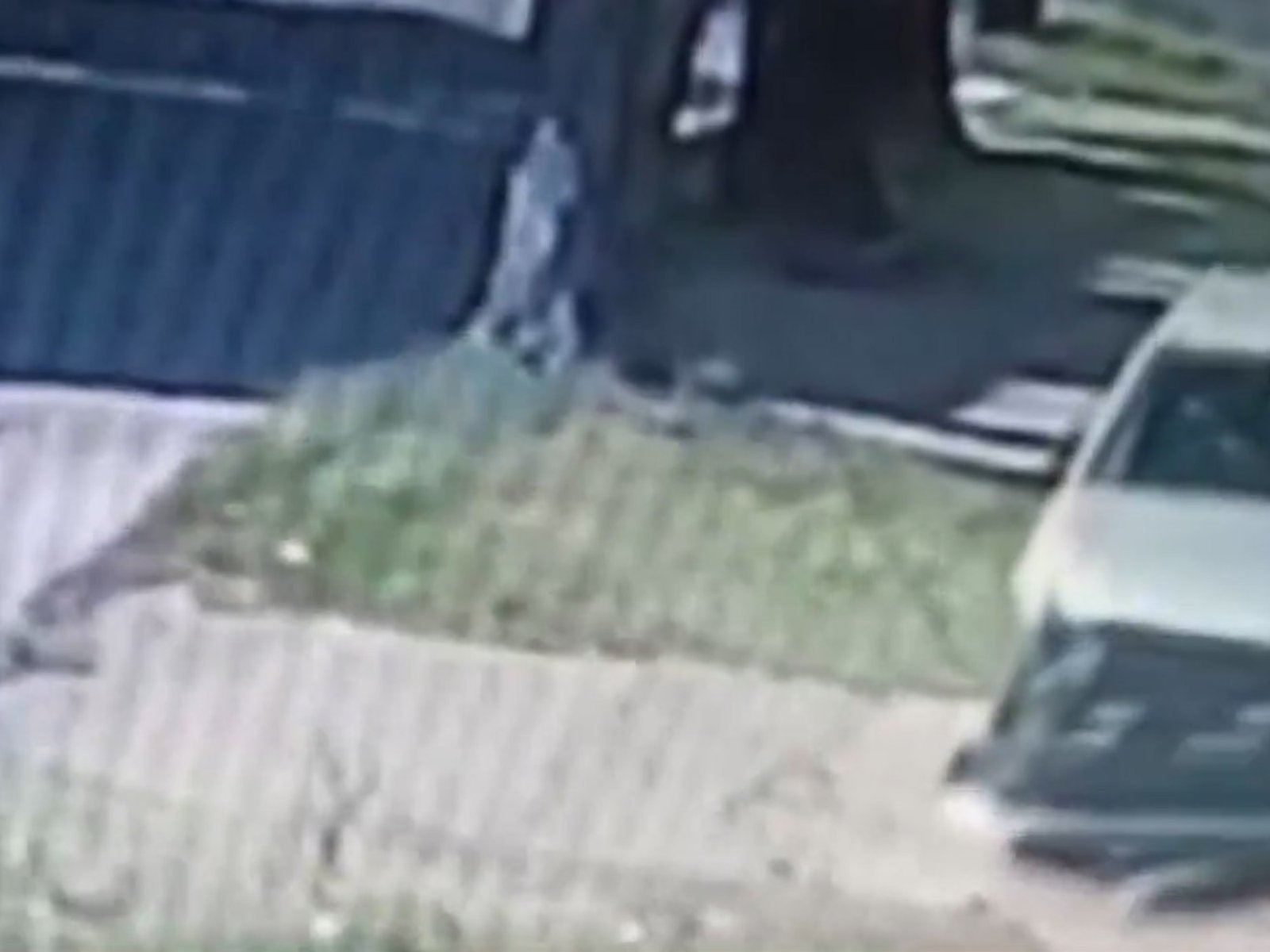 el test de alcoholemia le dio positivo