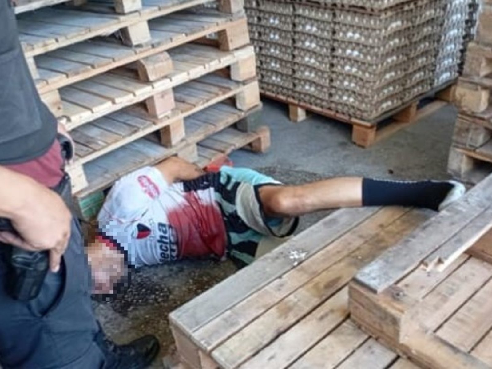 la súplica de un ladrón baleado en un depósito de huevos en Parque Avellaneda