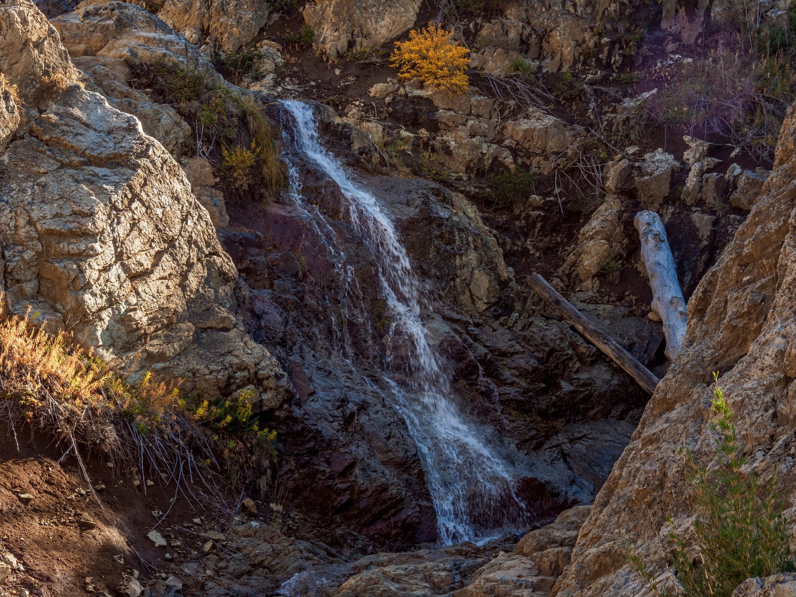 se tiró por una cascada y se golpeó la cabeza contra una roca