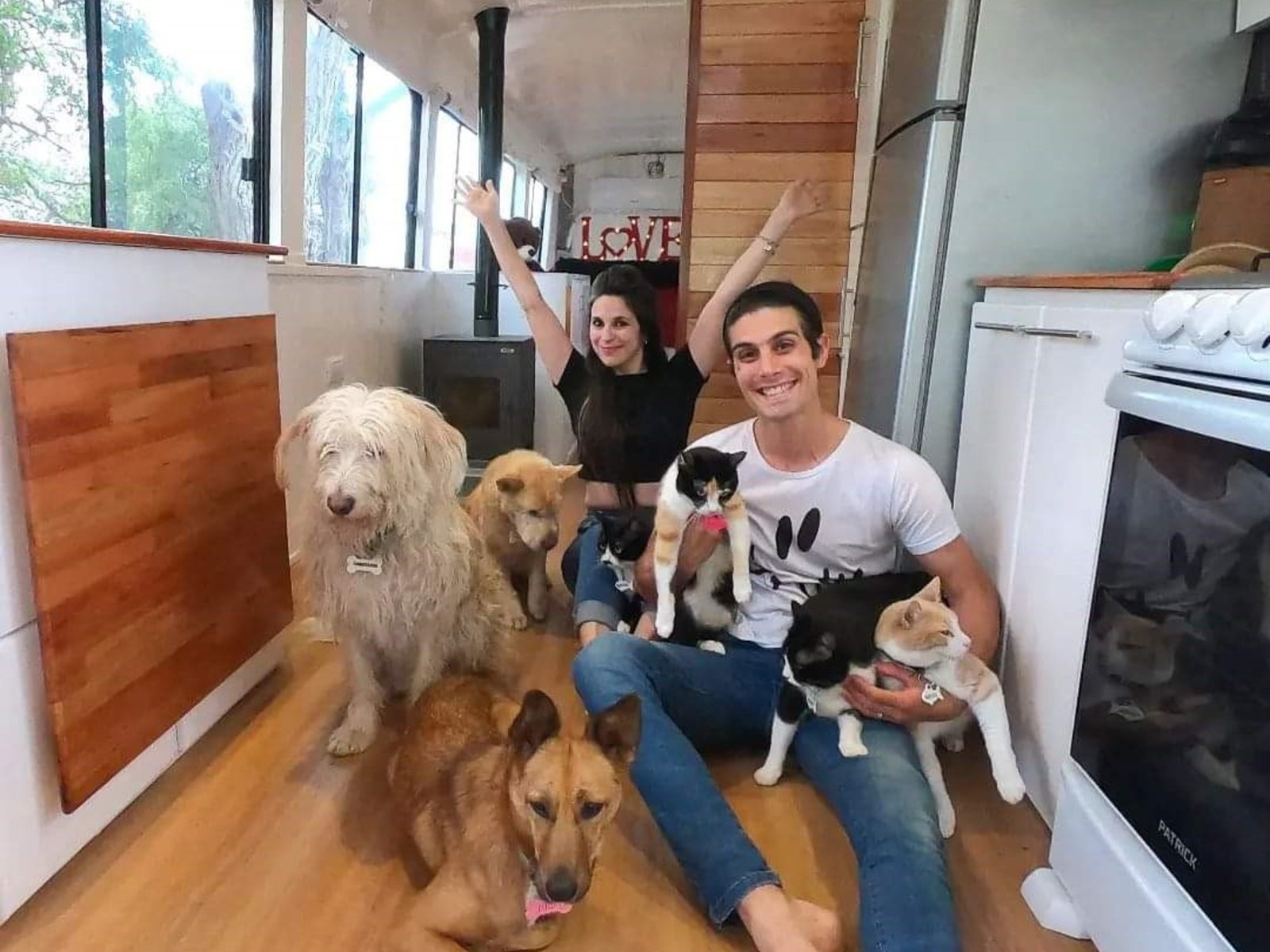 Cansada de la rutina, una pareja armó un motorhome y viaja con sus mascotas: "Nos faltaba sorpresa, adrenalina"