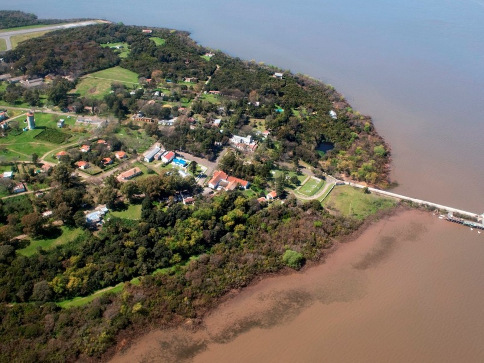 Cómo ingresó el "picudo rojo" a la Isla Martín García y las medidas para evitar que afecte las palmeras de toda la región