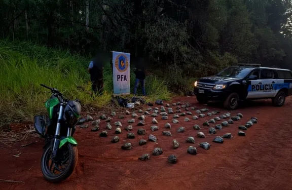 Misiones: secuestran un cargamento de droga transportado en una moto robada