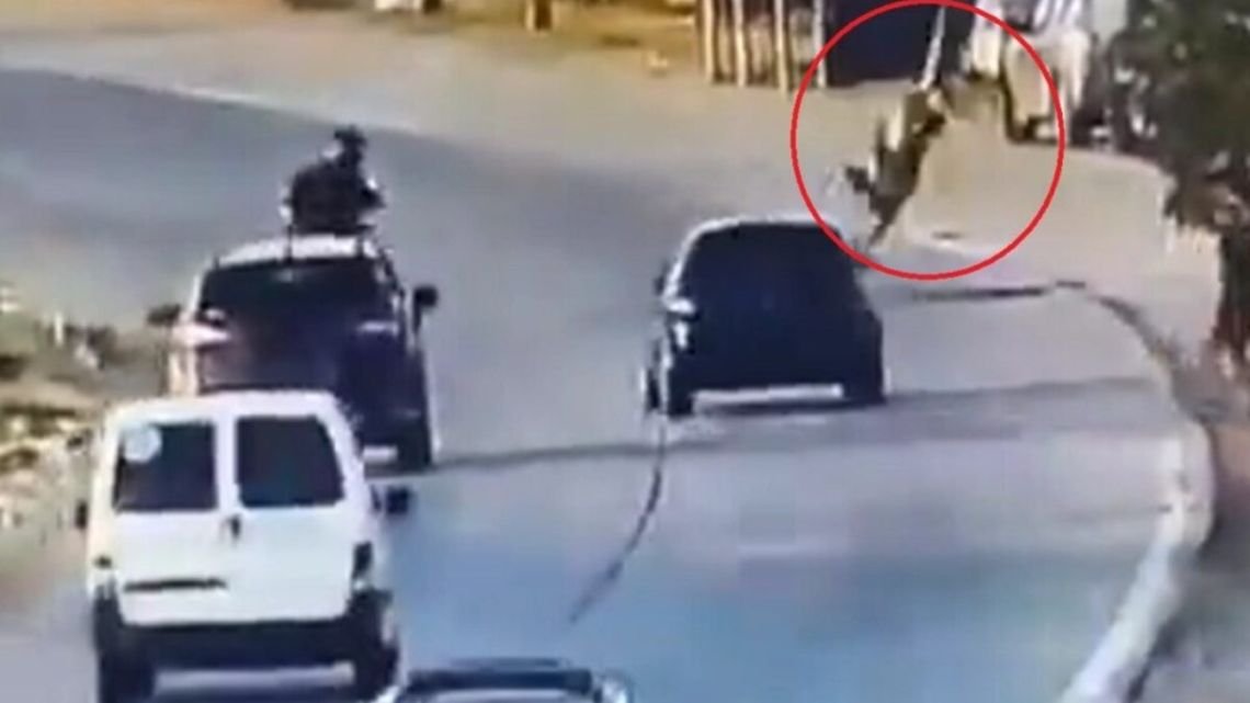 Policía que atropelló a un ladrón en Bernal no frenó "por miedo a que me roben"