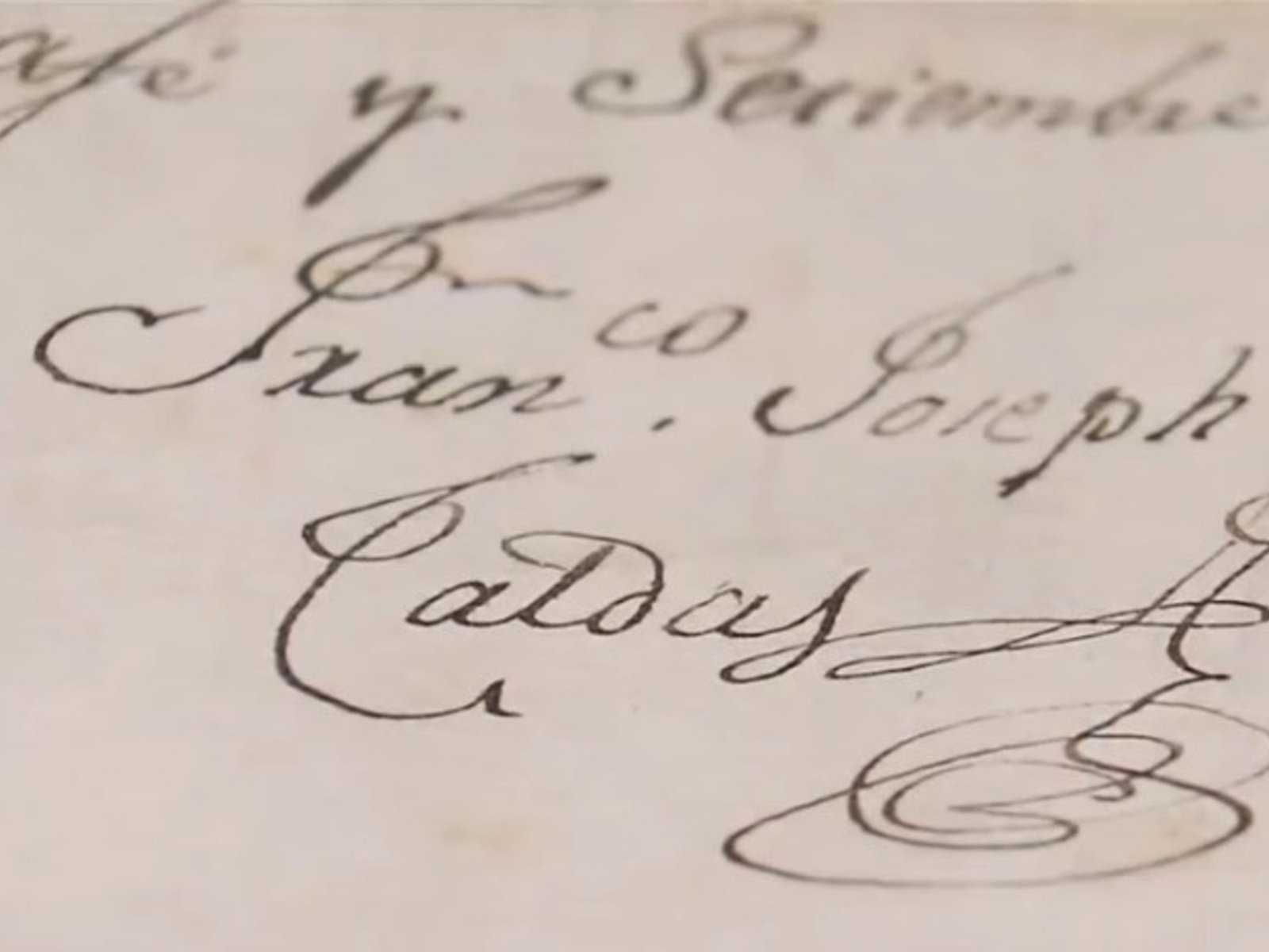 Subastaron en Bogotá manuscrito sobre la Real Expedición Botánica que desapareció en 1848