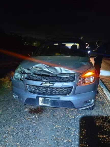 Un vehículo colisionó contra un potrillo cerca de La Herradura