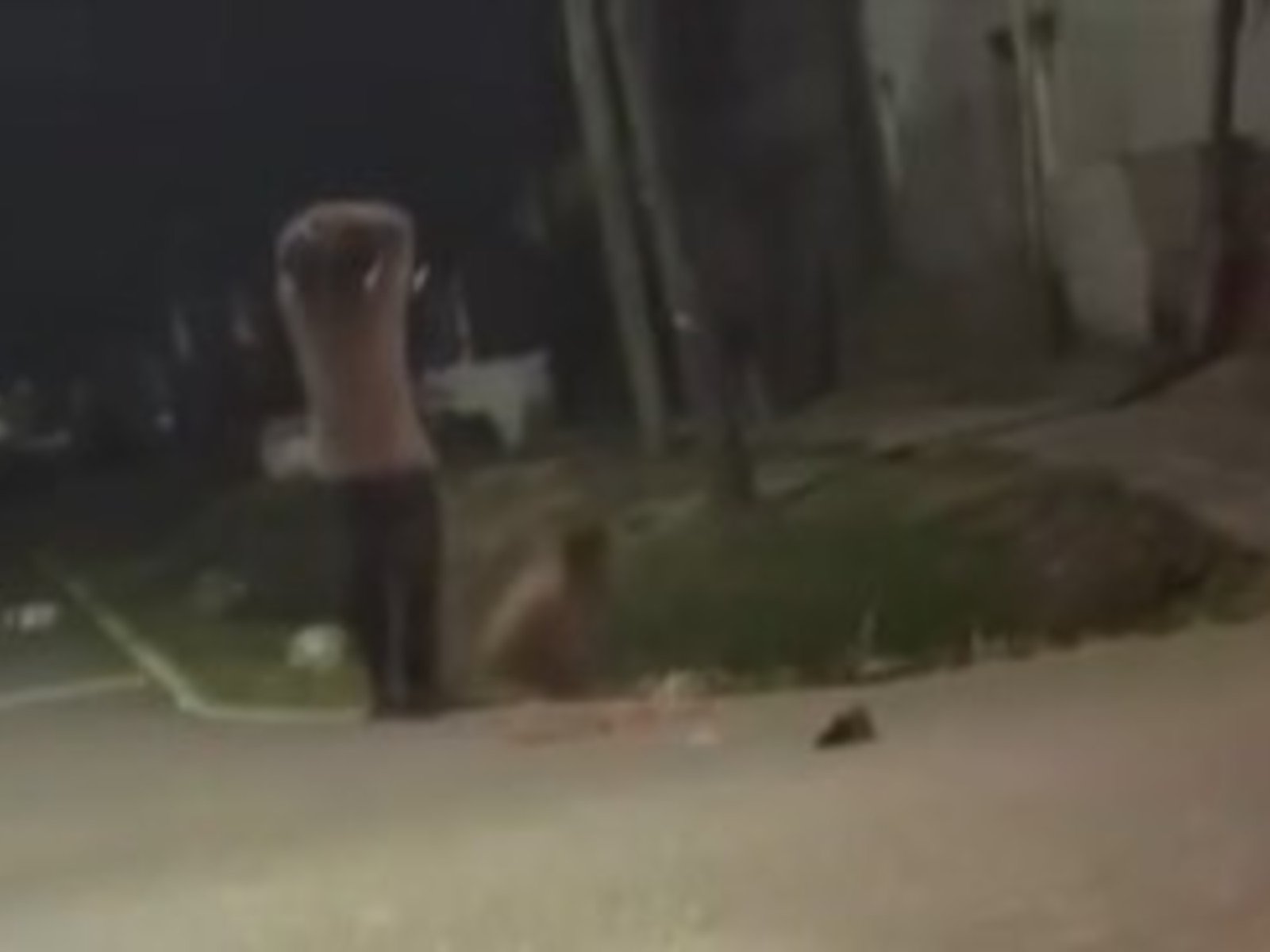 mató a golpes con un bate de béisbol a su tío durante una pelea familiar