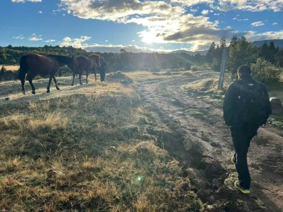 Hallan a una persona sin vida en la zona rural de Corcovado