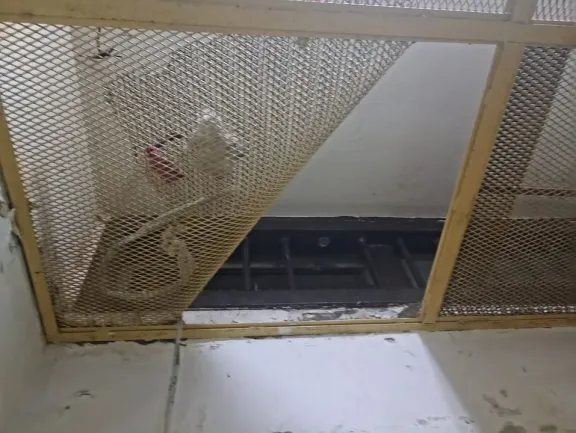 Internos de una comisaría intentaron fugarse serruchando un barrote