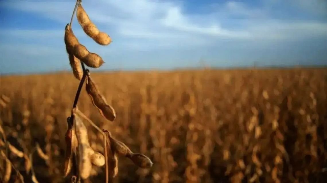 Luis Machado sobre las exportaciones agroindustriales: “Es el volumen más alto de la década”