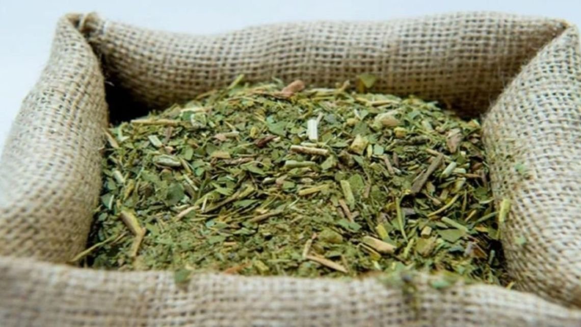 Productor sobre la crisis yerbatera: "Esto es un proyecto de muerte y lo encara el presidente de la república"