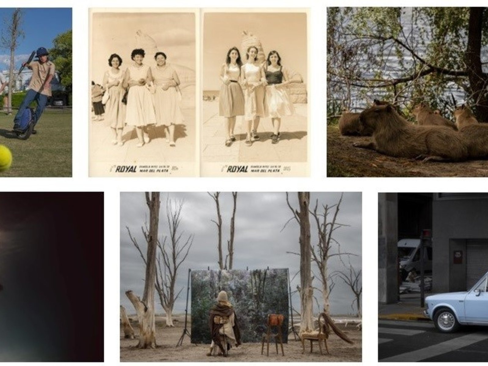 Seis fotógrafos argentinos fueron reconocidos en los Sony World Photography Awards