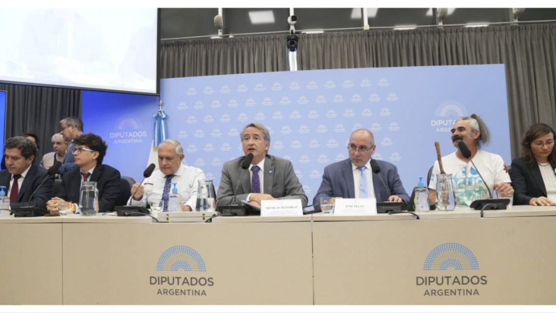 Una de las autoras de la Ley de Glaciares: "Esto es una verdadera farsa con pretensiones de audiencia publica"