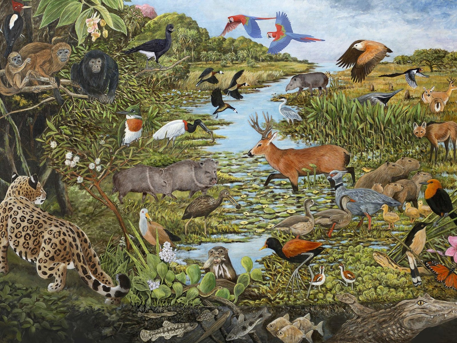 cómo las provincias se pasan animales para restaurar ecosistemas