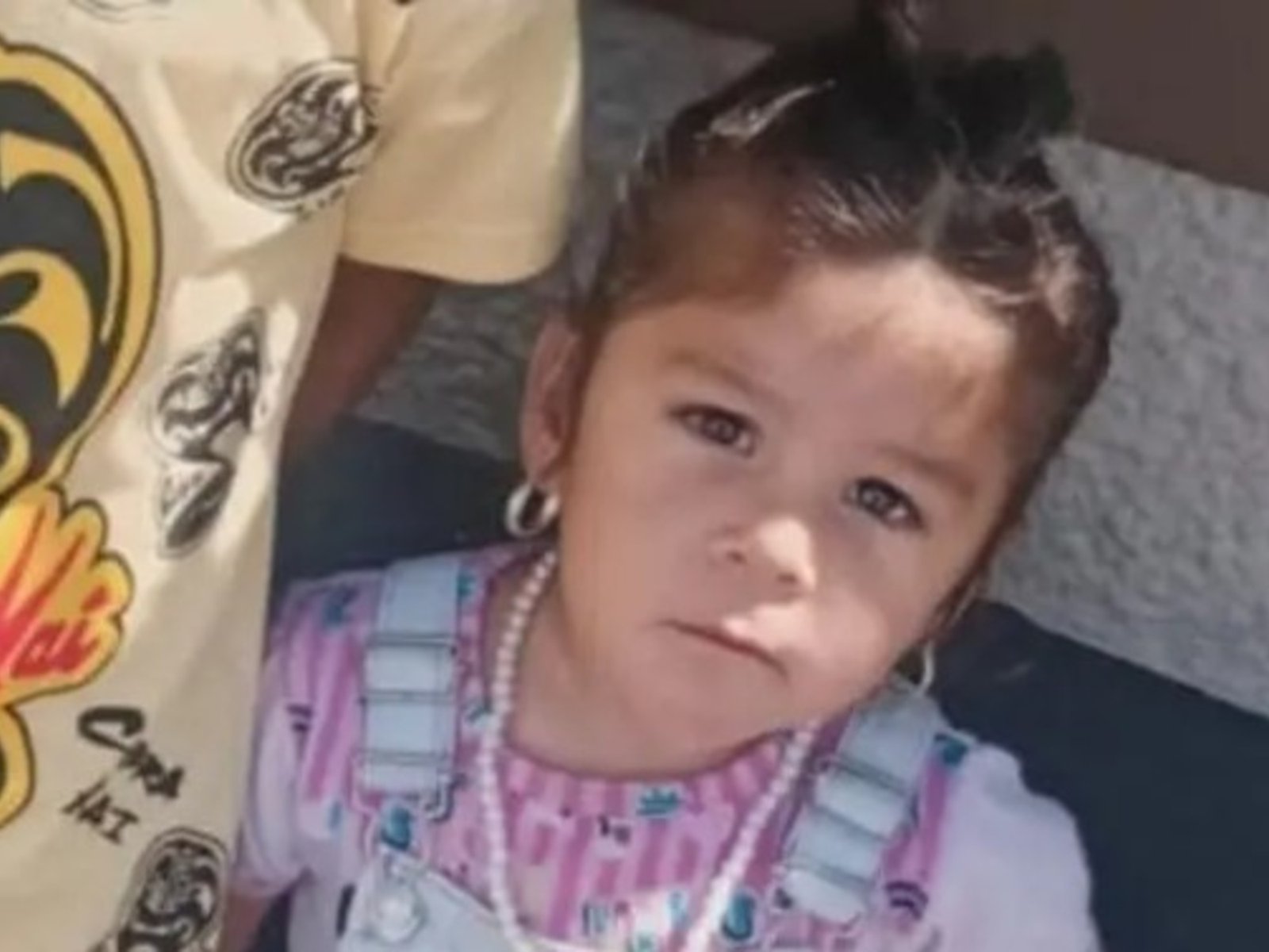 la familia sospecha de un circo "con muchos chicos" que dejó Cosquín el día que desapareció y amplían las búsqueda