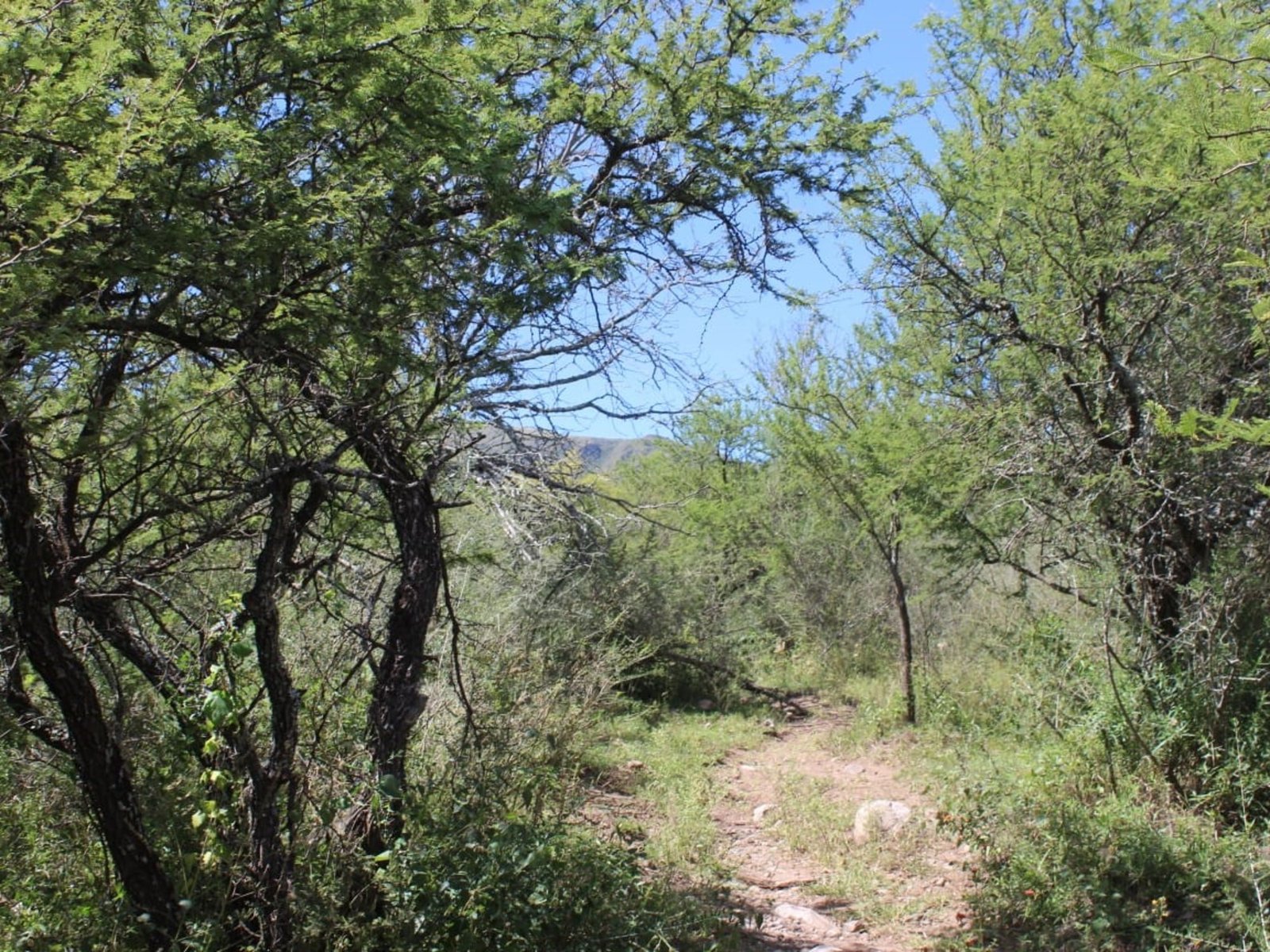 lo vincularon con el caso de una nena desaparecida, les retienen los vehículos y no pueden salir
