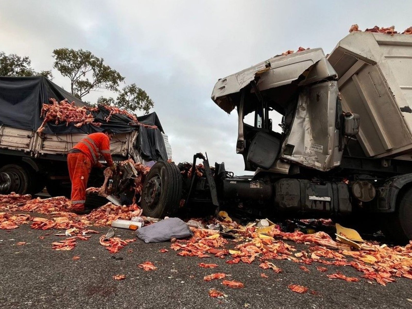 un chofer murió al quedar atrapado en la cabina destruida de su camión