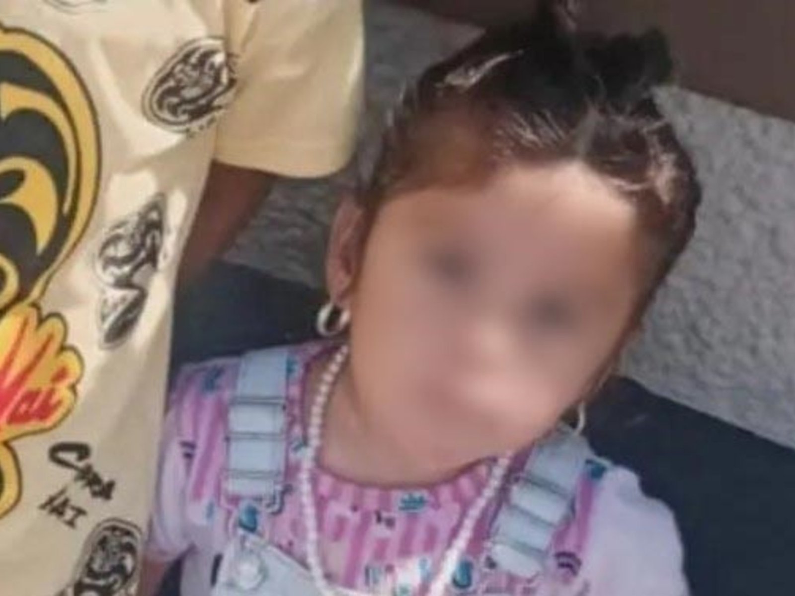 un predio abandonado en medio de un monte de difícil acceso