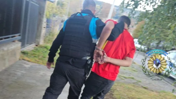 Entró a robar y lo vieron por las cámaras: fue aprehendido