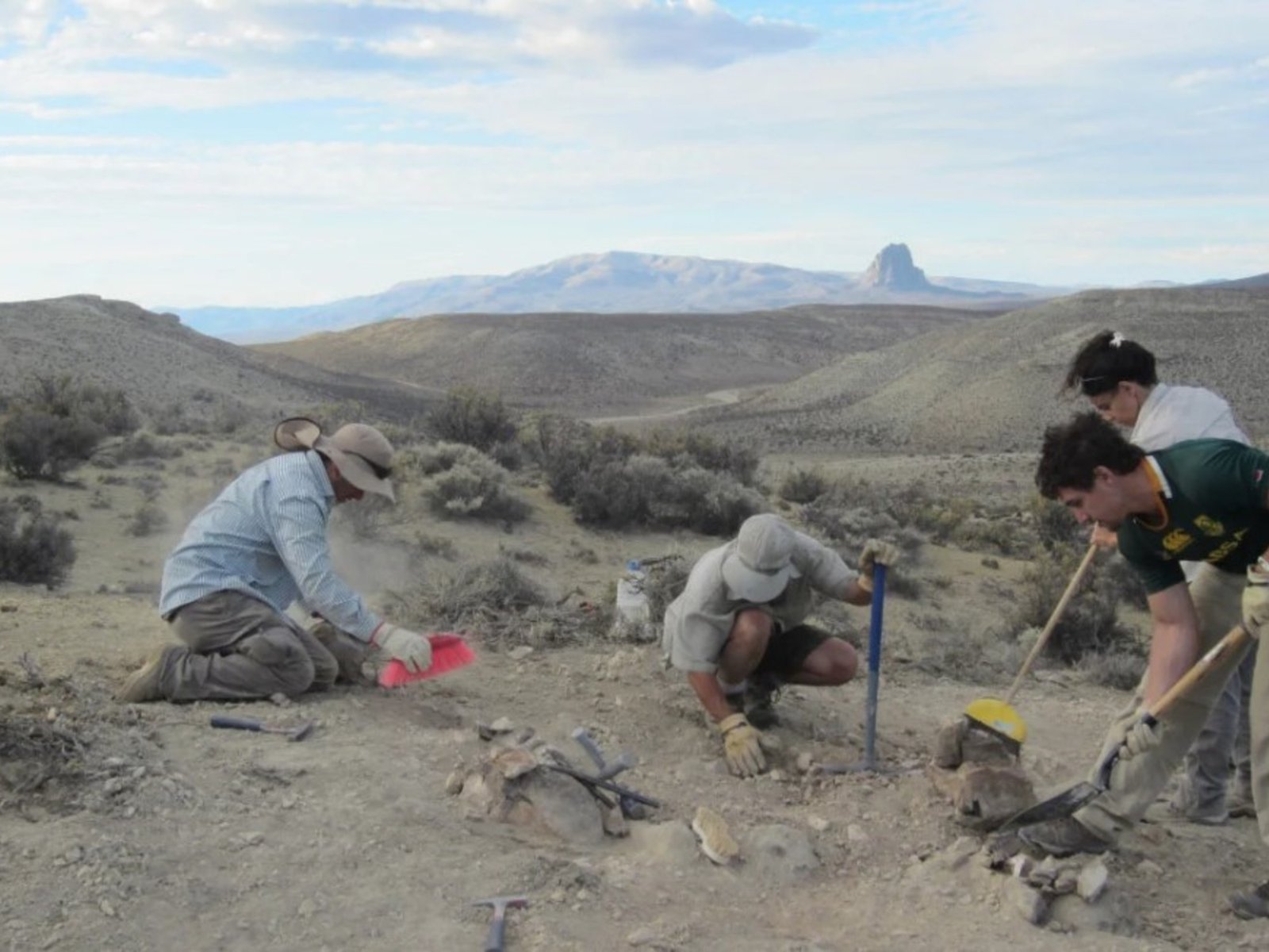 Hallaron en Chubut un nuevo dinosaurio de 160 millones de años: lo llamaron Bicharracosaurus
