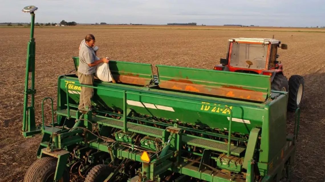 Liderazgo en el agro: por qué la gestión interna define el crecimiento