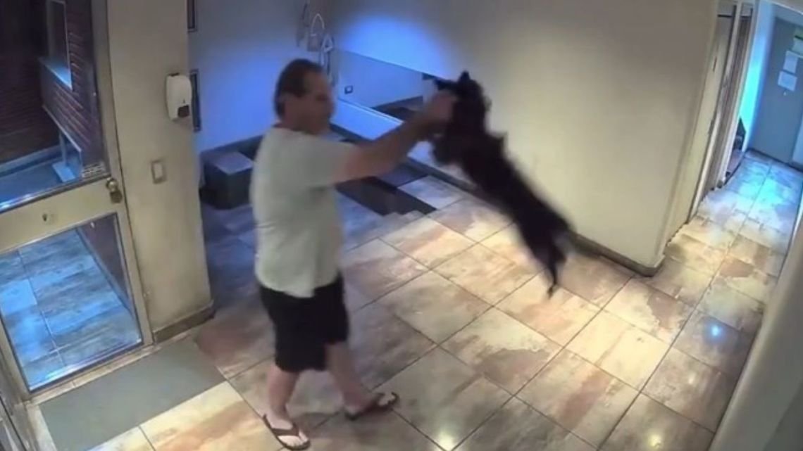 Revoleó a un perro contra el piso en Palermo y quedó detenido