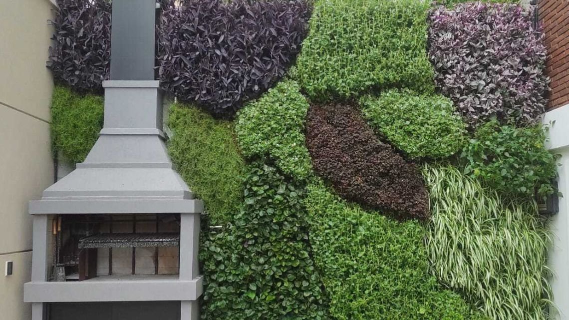 Techos verdes y jardines verticales: qué tener en cuenta antes de instalarlos