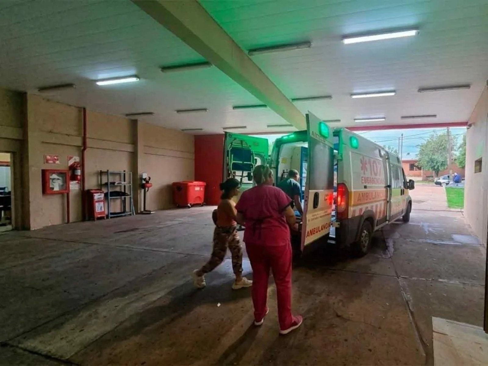 Una jauría atacó a un nene de 7 años que jugaba en el patio de su casa y terminó internado en el hospital