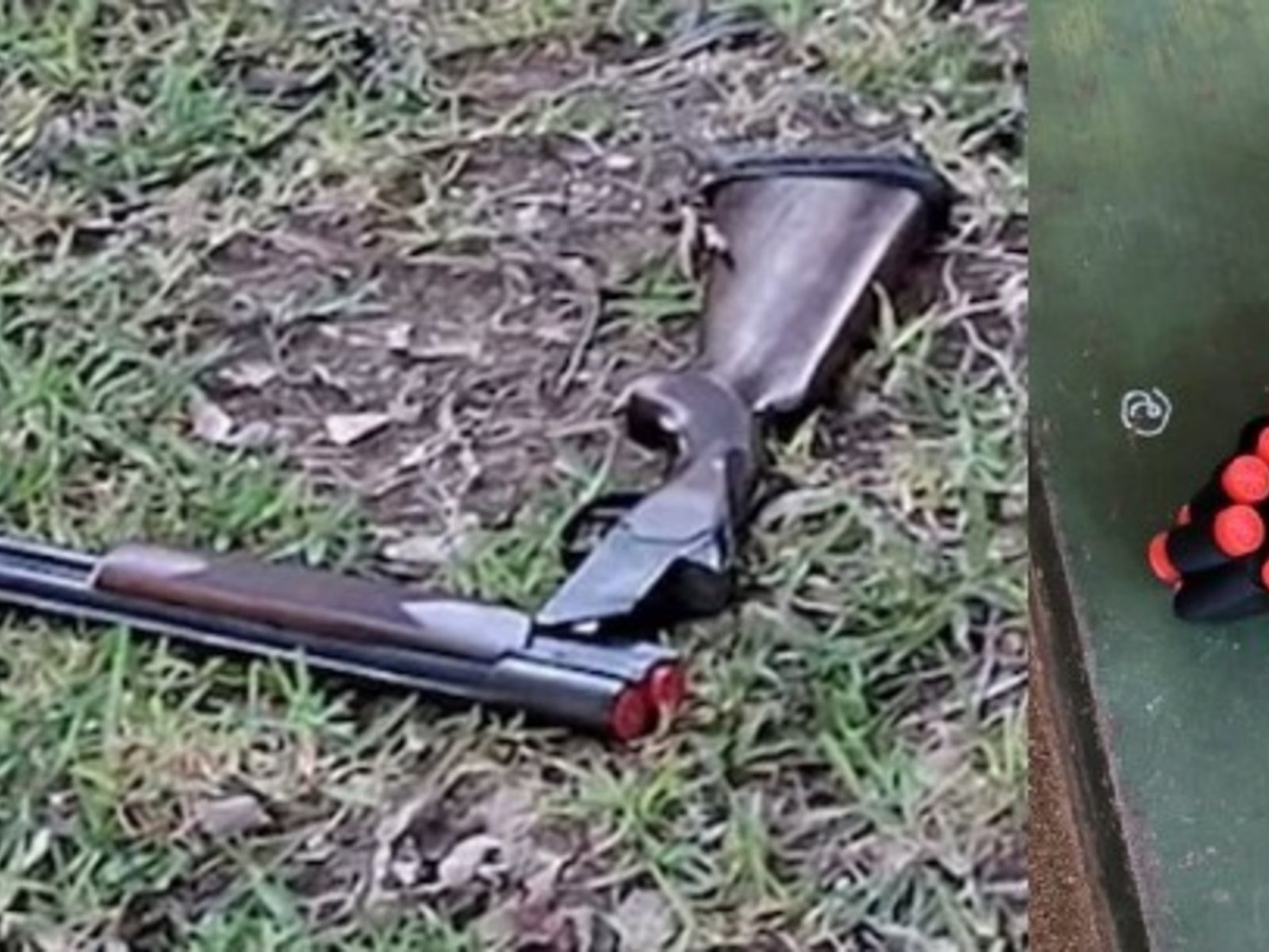 enfático pedido de los pediatras para evitar el acceso de los chicos a las armas en su hogar