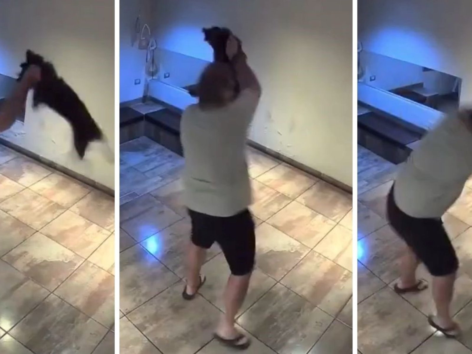 levantó a un perrito del cuello y lo arrojó con violencia al piso en un brutal caso de maltrato animal