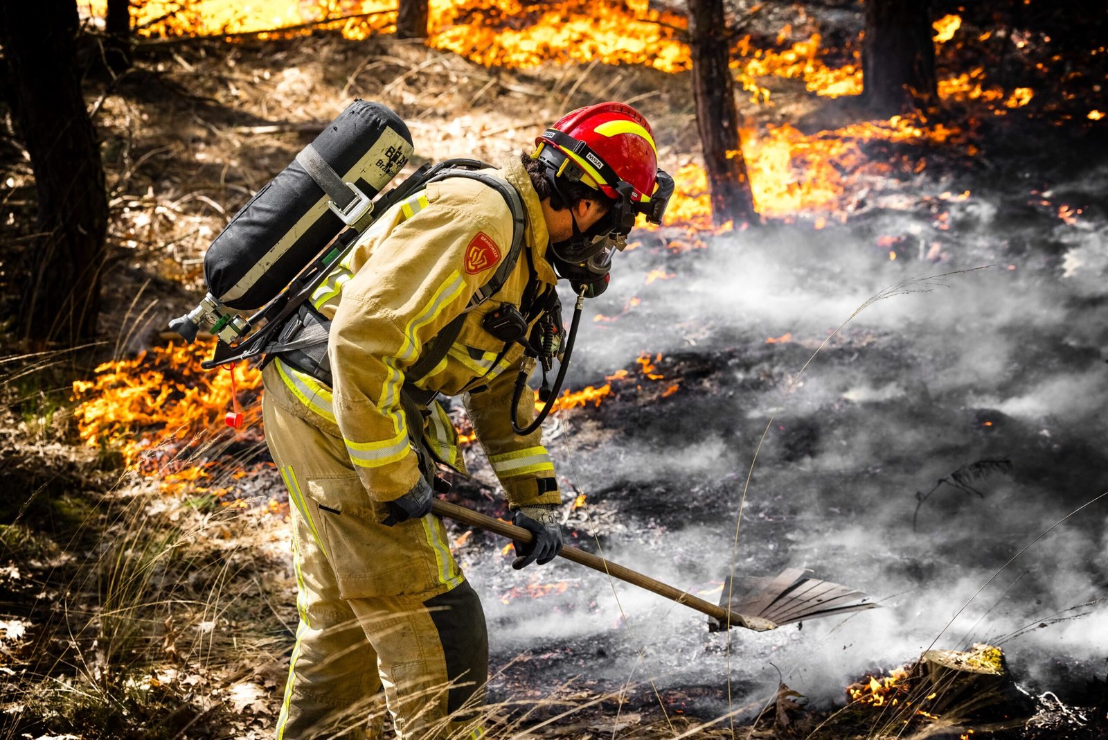 160 millones de hectáreas quemadas y la temperatura marina en máximos: 2026 se postula como un año de calentamiento extremo