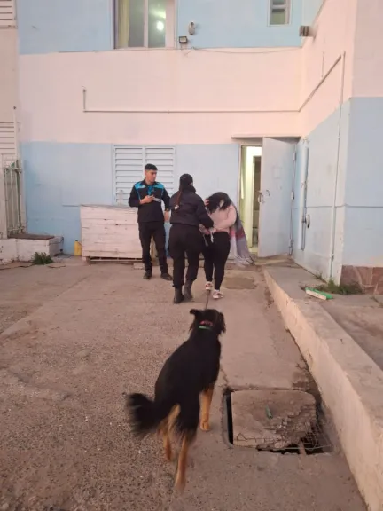 Arrojó piedras a un departamento, amenazó y fue aprehendida
