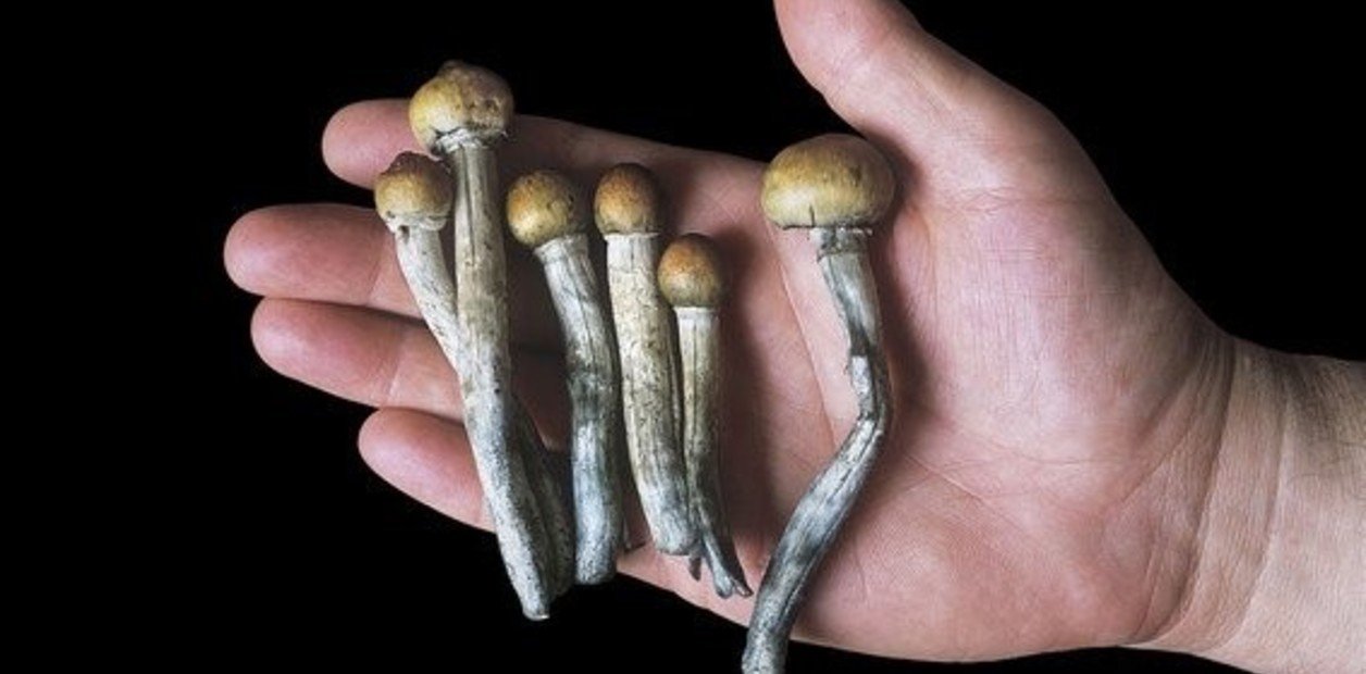 Comprueban por primera vez que un medicamento natural puede ser eficaz para vencer la adicción a la cocaína