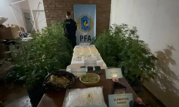 Desbaratan centro de producción de marihuana en Caleta Olivia