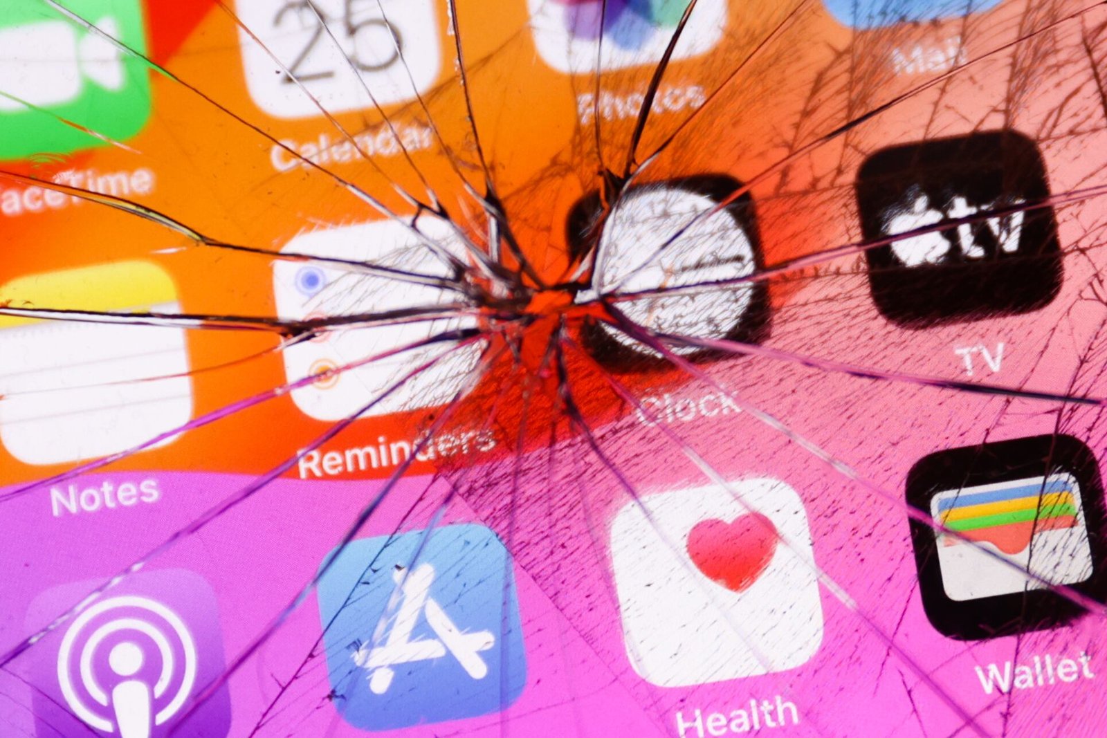 Por qué las redes sociales son cada vez peores: “Para Zuckerberg y Musk tus amigos son un lastre. Quieren que veas anuncios” 