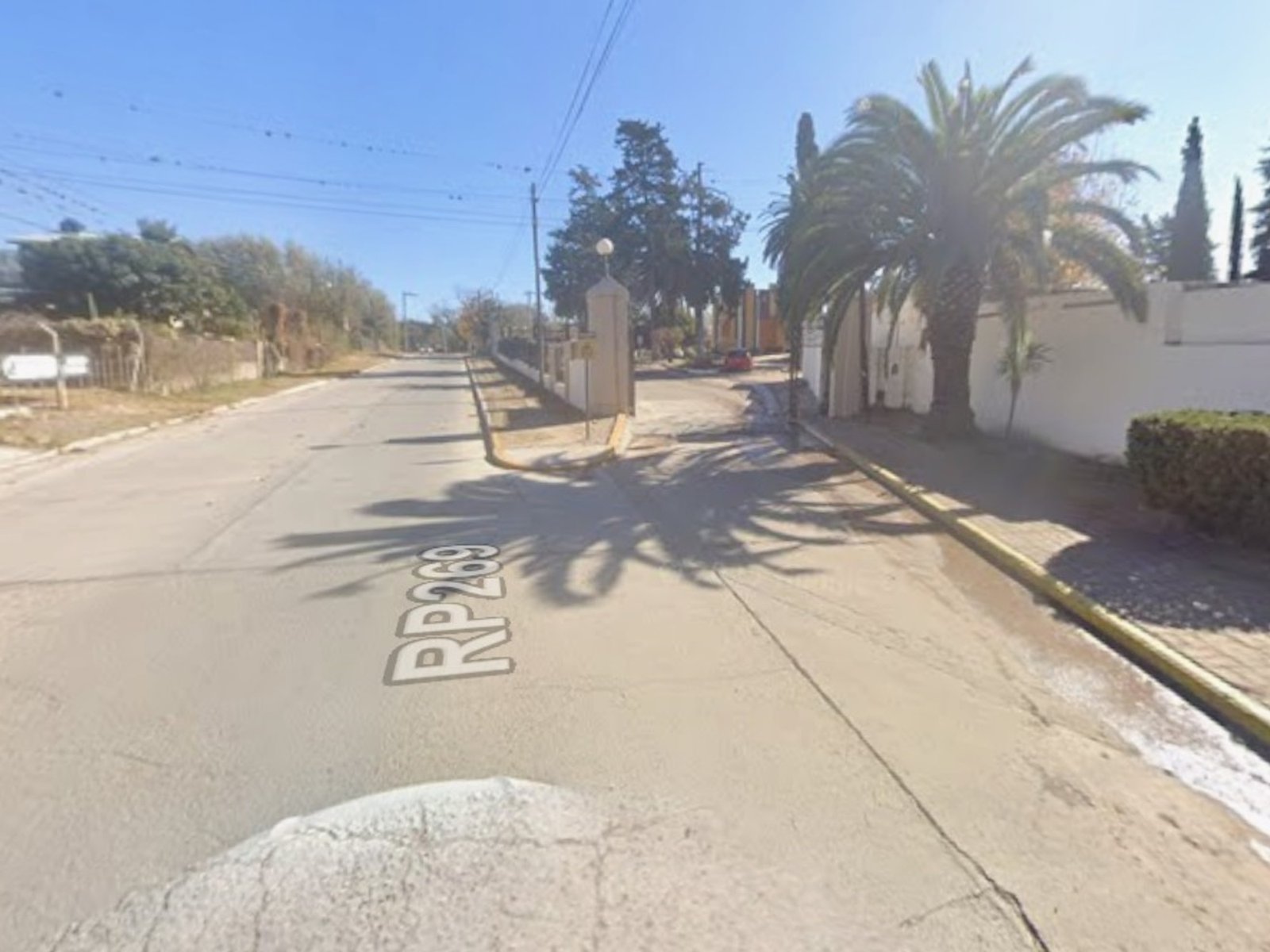 Un perro atacó a una nena de 4 años, la mordió en el cuello y la mató