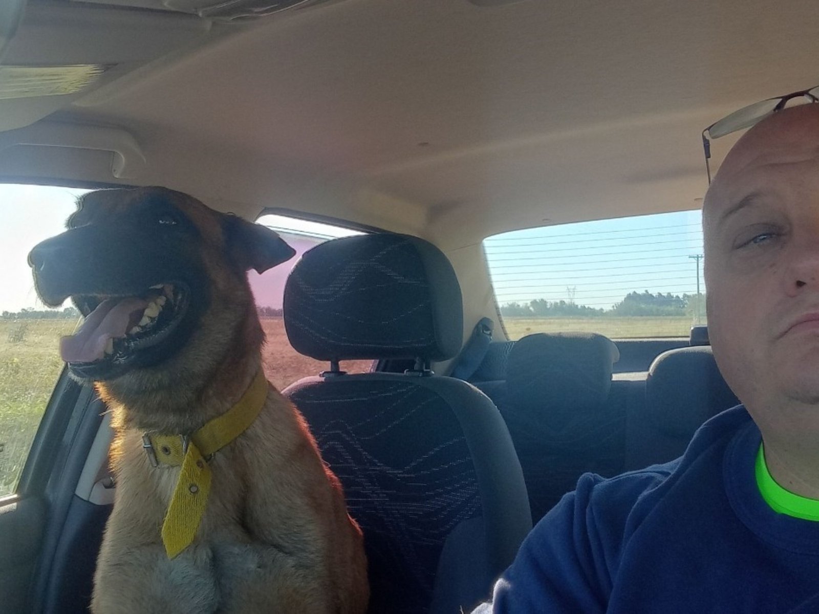 el emotivo reencuentro entre un hombre y su perro perdido que se volvió viral