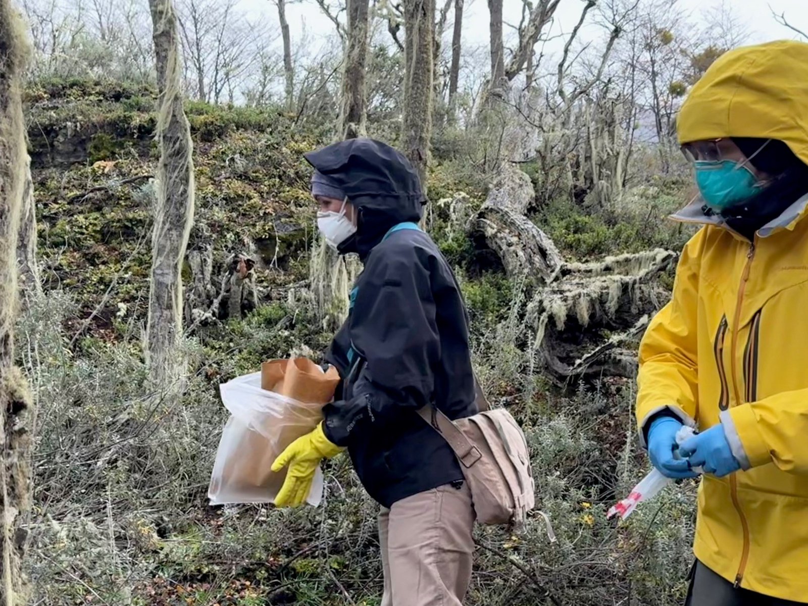 por qué el Malbrán sólo está investigando en Ushuaia y no en otros lugares