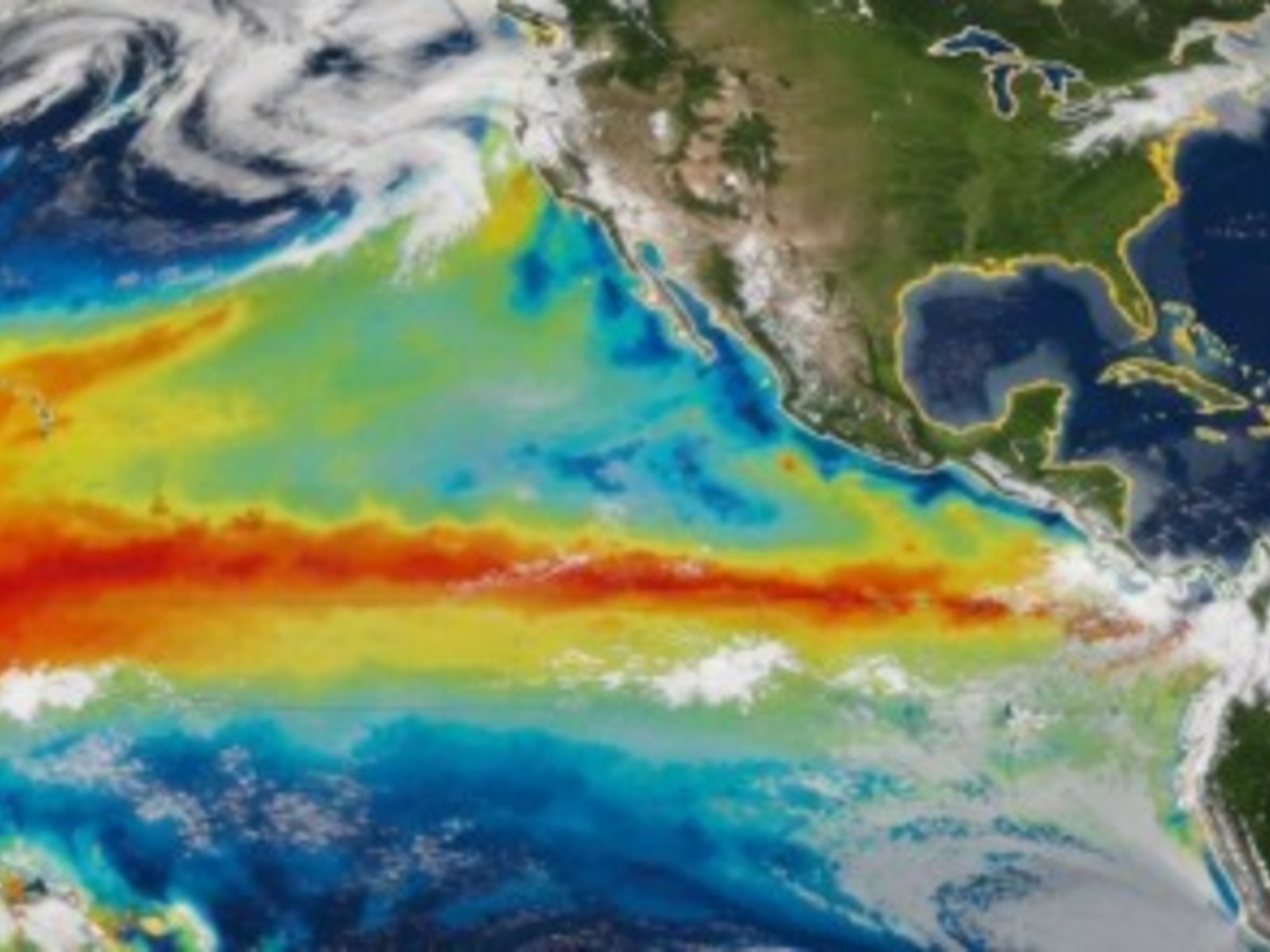 Alerta de la mayor experta en clima por "El Niño" y los tres fenómenos extremos que puede traer a la Argentina