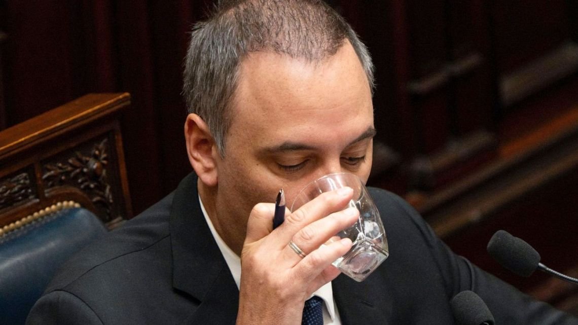 Concejala del PRO Rosario: "Adorni en vez de llenarnos de orgullo como Belgrano, nos llena de vergüenza"