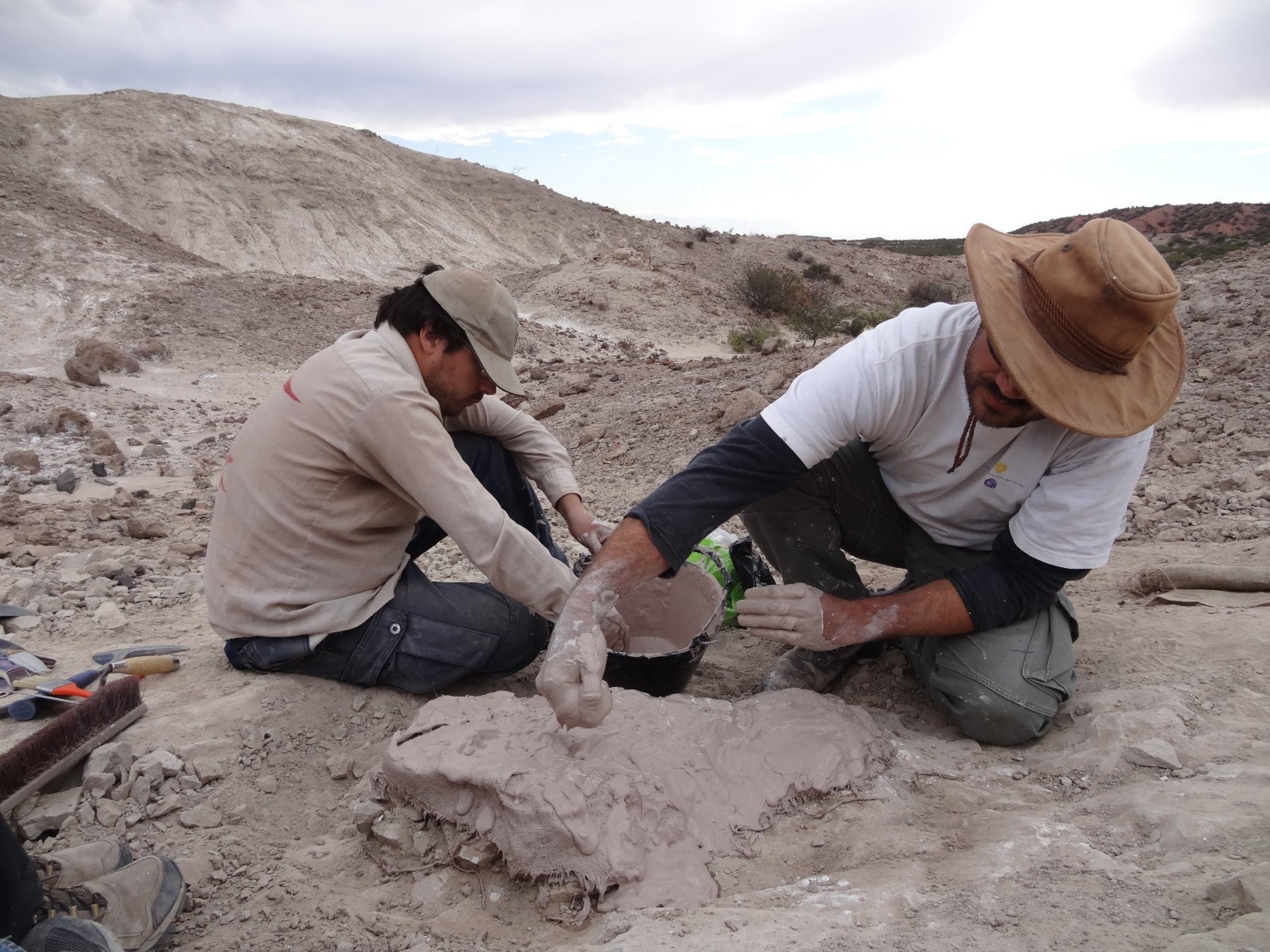 Hallaron en La Rioja fósiles de un animal prehistórico anterior a los dinosaurios