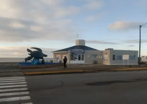 Hallazgo en Playa Unión: el fiscal dio detalles y habló de “sin lesiones visibles”