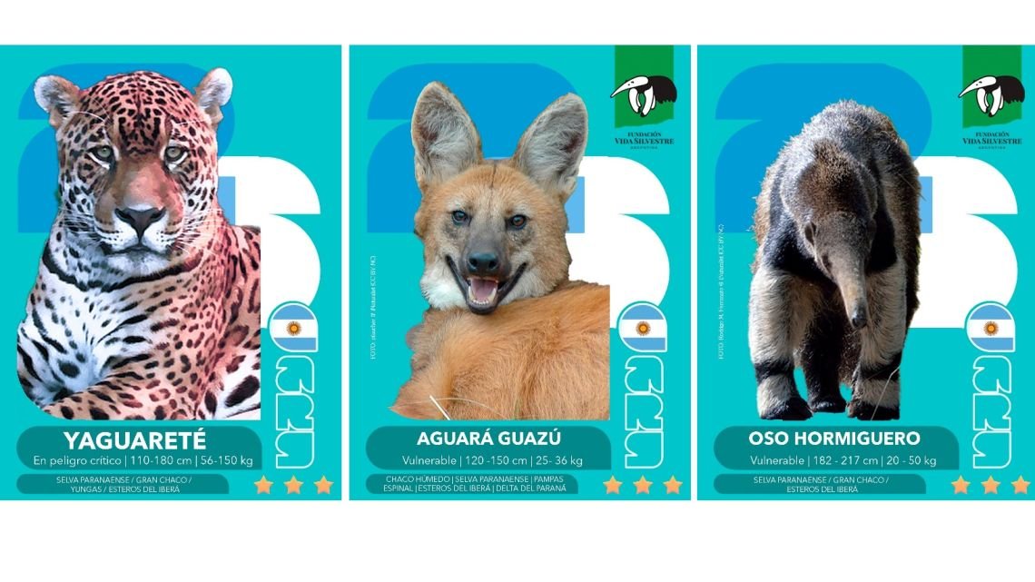 La ONG Vida Silvestre lanza un álbum y figuritas de animales en peligro de extinción