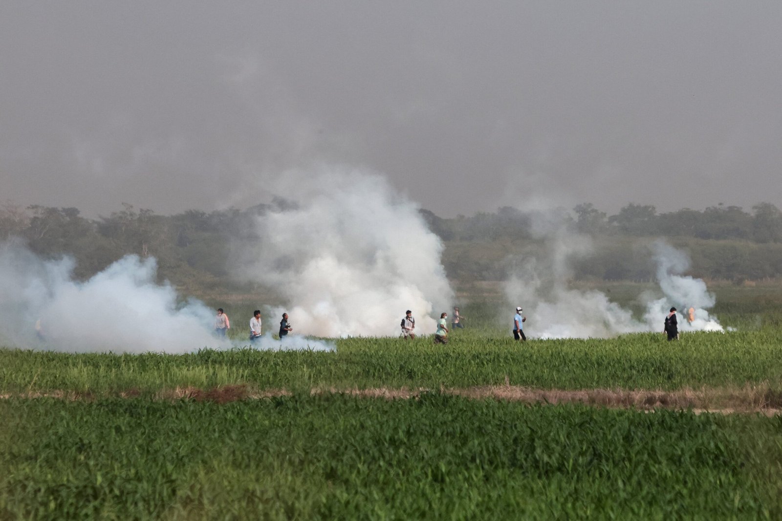 Tierra, territorio y democracia: los desafíos del debate agrario en Bolivia