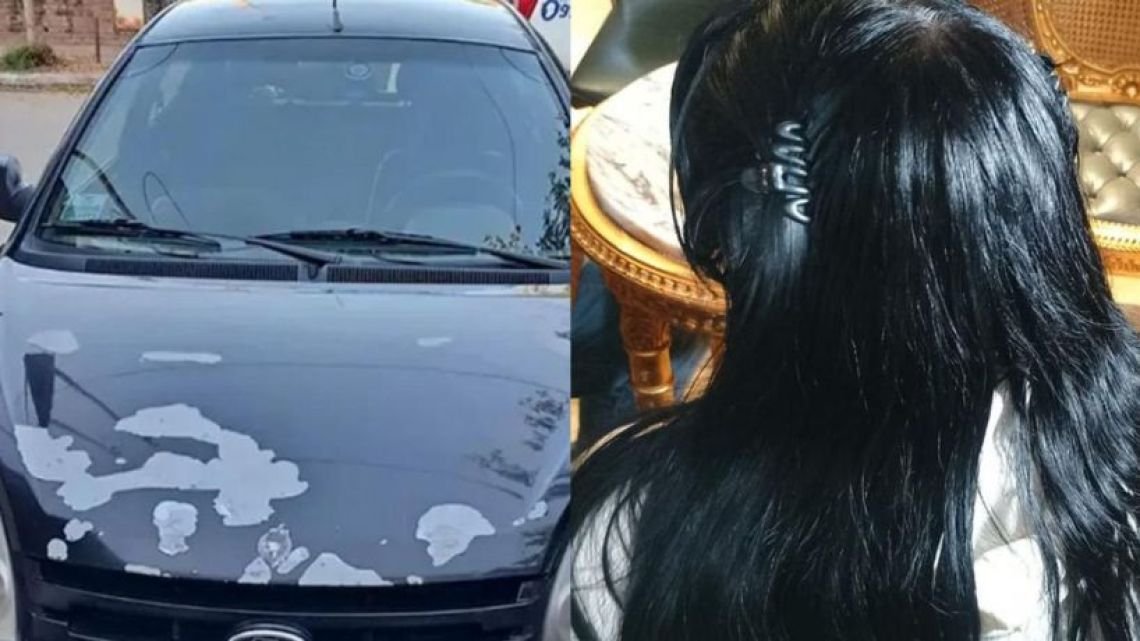 "Yo no quería prestarle el auto porque tenía una fea sensación", dijo la ex de Barrelier