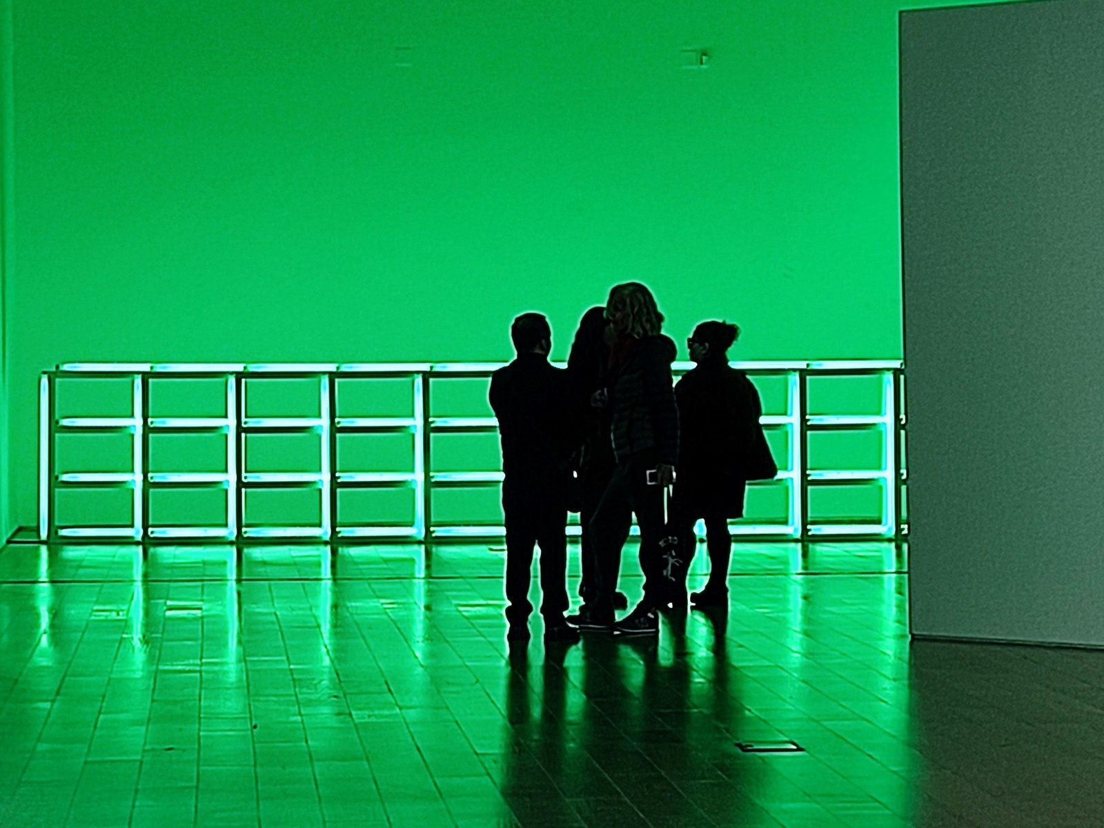 el artista que transformó tubos fluorescentes en obras maestras del minimalismo