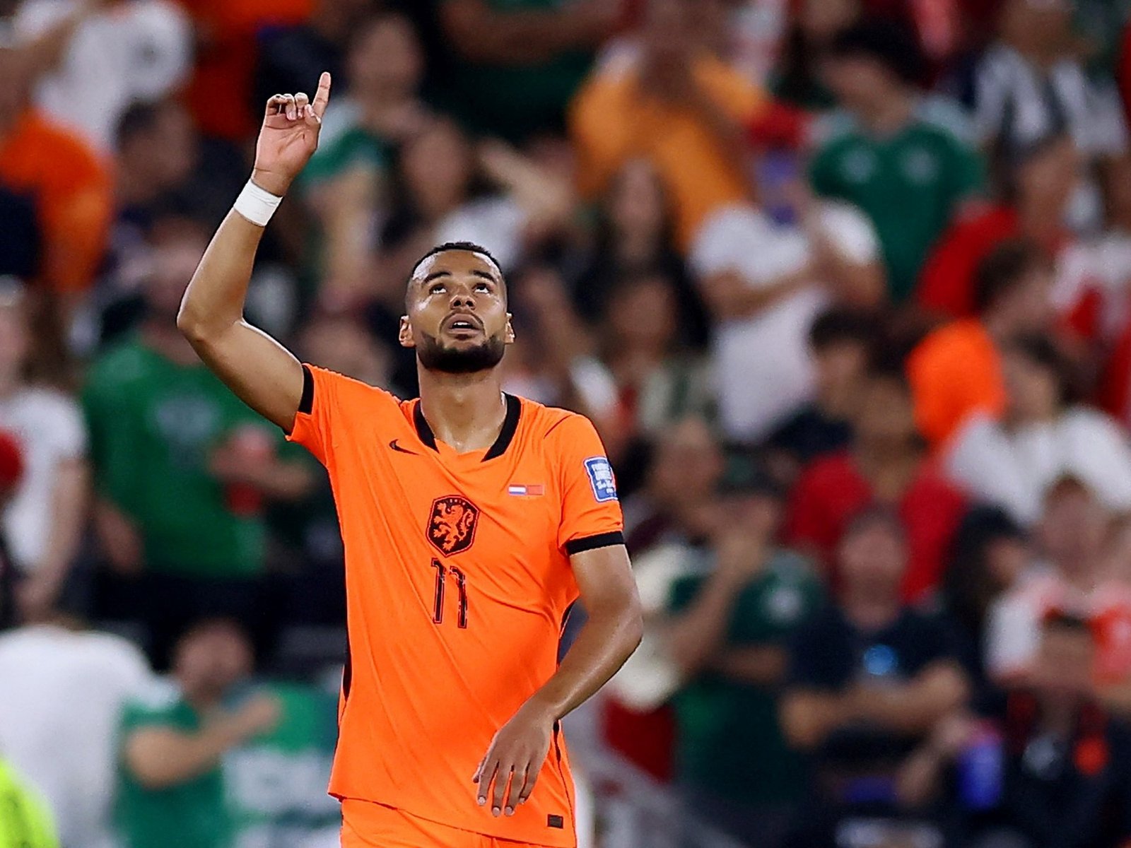 el gol de Cody Gakpo a Marruecos, 48 horas después de que su esposa perdiera un embarazo