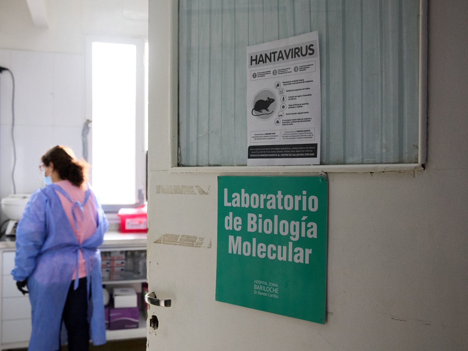 una mujer murió tras contraer hantavirus y piden reforzar las medidas de prevención