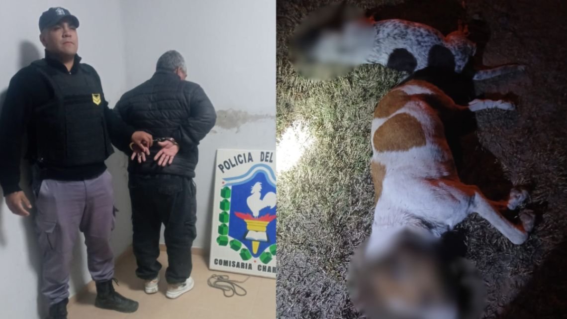 Confesó que mató a sus dos perros porque "le mataban los chivos" y terminó detenido en Chaco